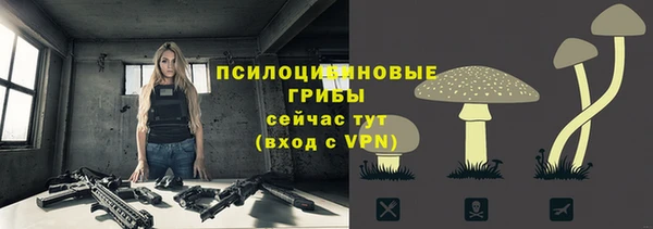 apvp Фурманов