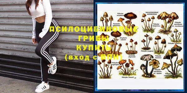 амфетамин Елизово