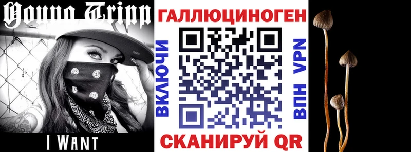 Псилоцибиновые грибы Cubensis  Купить где  Цивильск 